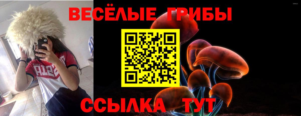 Псилоцибиновые грибы GOLDEN TEACHER  Вход с VPN  Азнакаево  Галлюциногенные грибы GOLDEN TEACHER 